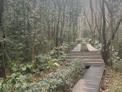 -杭州半山国家森林公园