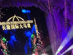 -广州长隆国际大马戏