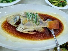 清蒸万绿湖有机金雕鱼-新苑酒家(嘉宾路店)
