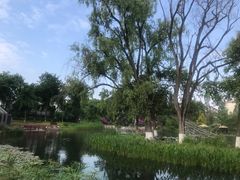 -成飞公园