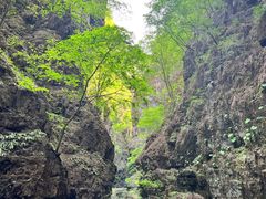 -野三坡百里峡景区