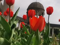 -长春公园(普阳街道)