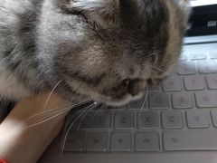 -达爱动物医院·犬猫分区·CT·复杂眼科(远洋山水分院)