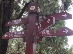 -黄帝陵
