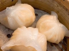 -食为先(Shark Fin)