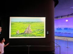 -罗红摄影艺术馆