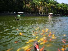 -广东茂名森林公园