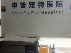 -申普宠物医院·眼科·心内科·影像科(普陀分院)