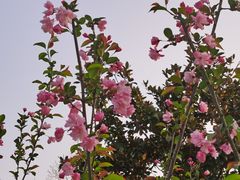 -黄兴公园