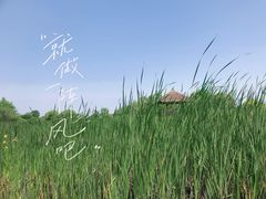 -梁鸿国家湿地公园