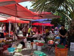 -西双版纳傣族园