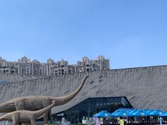 -安徽省地质博物馆