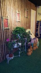 IMG_20150115_201709-克丽缇娜