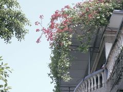 -重庆平顶山公园