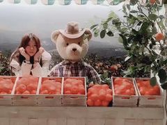 -济州岛泰迪熊博物馆