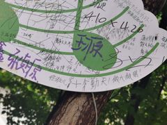 -湖南广电中心大楼