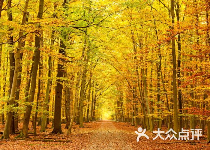 红白花公园-图片-郑州周边游-大众点评网