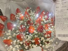 -索拉古贝(义乌北苑店)