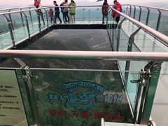 -梦幻奥陶纪景区