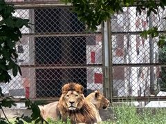 -宿豫区运河湾森林动物园