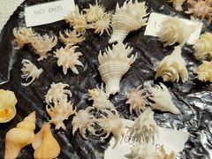 -摩登百货(岗顶店)