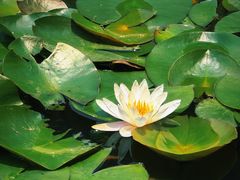 -尚贤河湿地