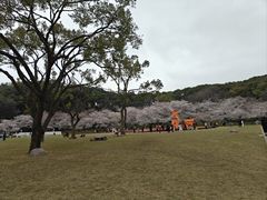 -苏州上方山国家森林公园