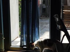 -251#coffee roasters(沿河东路店)
