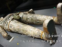 -闵行博物馆