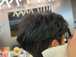 -东方麒麟·潘多拉SALON