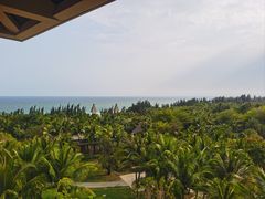 -海南清水湾莱佛士酒店