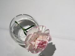 -眉州东坡(石景山店)