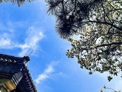 -潭柘寺景区