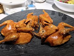 -三强鸽子(中原路店)