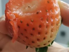 -薇酌饮·陕西菜(南门外店)