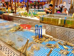 -半岛听涛蒸汽海鲜自助(K11店)