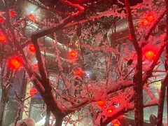 -汉拿山温泉度假酒店