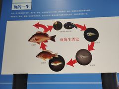 -大连自然博物馆