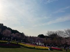 -凤凰沟景区