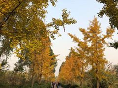 -白鹭湾湿地公园