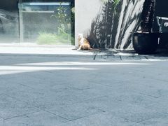-Stone Motion释动健身
