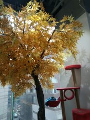 -M Hair造型