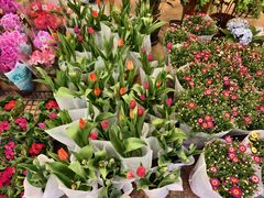 -双季花艺园艺市场(浦东店)