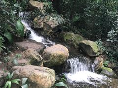 -广州兰圃