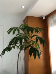 -HEYAN荷妍专业脱毛连锁机构