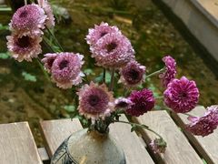 -归觅·西关小姐人文艺术馆(荔枝湾店)