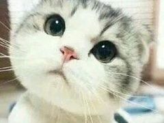 -一天好养生火锅·衢州人自己的火锅(阳光水岸店)