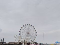 -碧海金沙