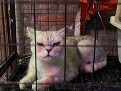 -财二舅火锅招待所