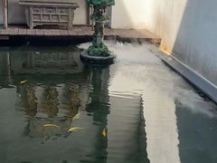 -觀芷隐轩
